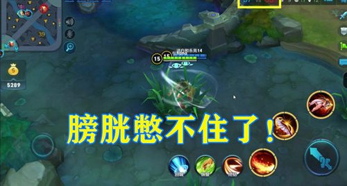 王者荣耀膀胱局代表英雄有哪些