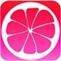 蜜桃视频播放器下载大全_logo