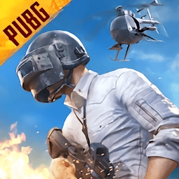 pubg国体直装下载v2.03.00